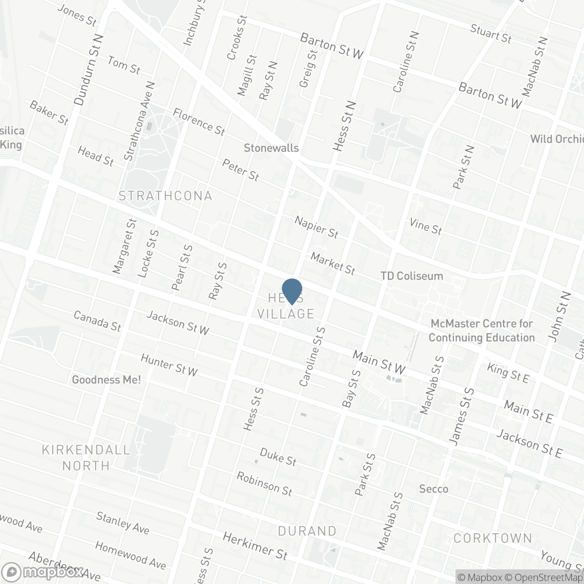 38 HESS Street S, Hamilton, Ontario L8P 3N1